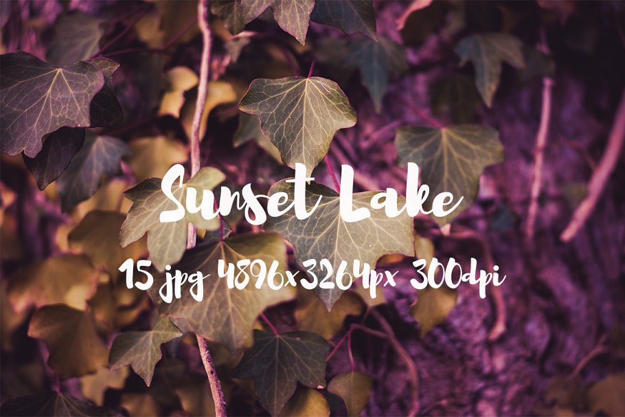 日落湖水高清照片素材 Sunset Lake photo pack插图14