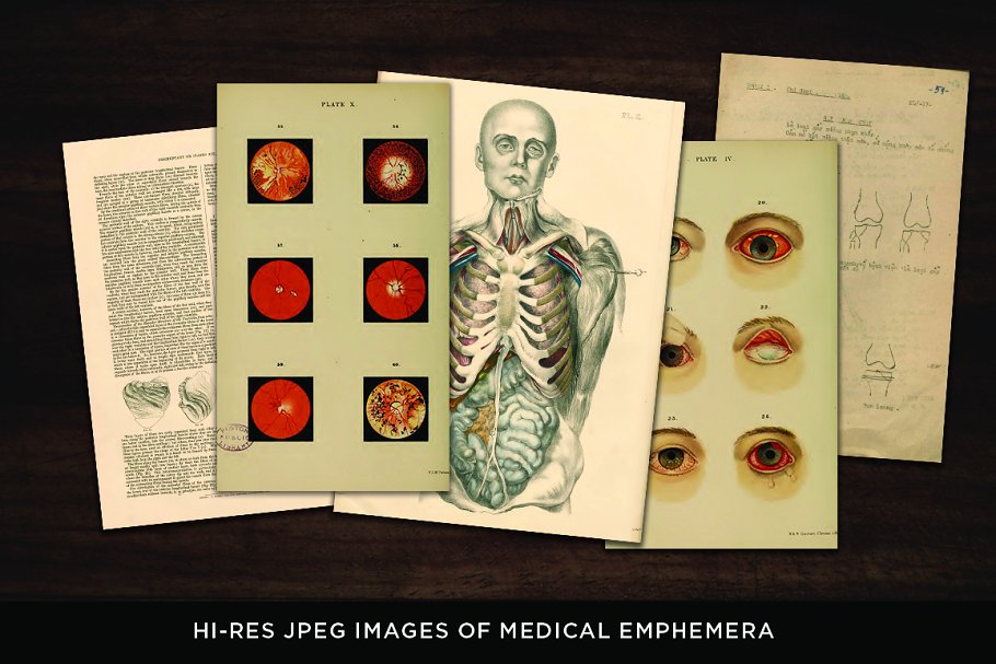 旧时代解剖医学插图素材 Medical Art | 110 EPS, PNG and JPG’s插图13