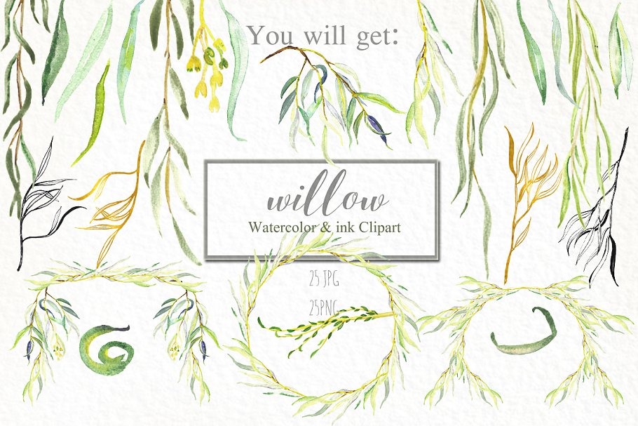 柳枝水彩剪贴画 Willow branches watercolor clipart插图1