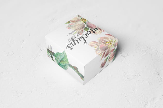 纸盒包装外观设计样机模板11 Paper Box Mockup 11插图(7)