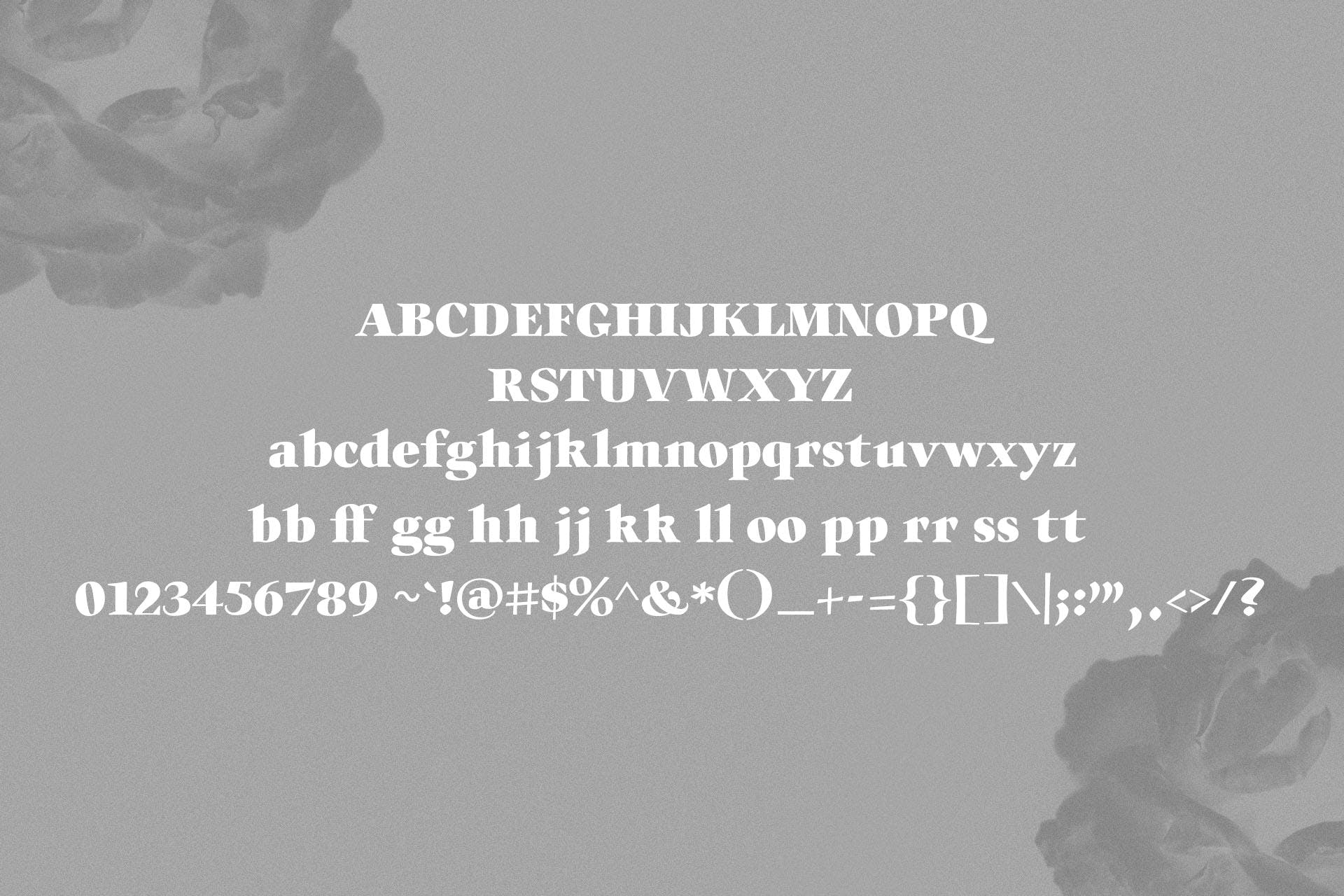 英文手写字体&印刷版式设计衬线字体二重奏组合字体 Willys Script Serif Font插图8