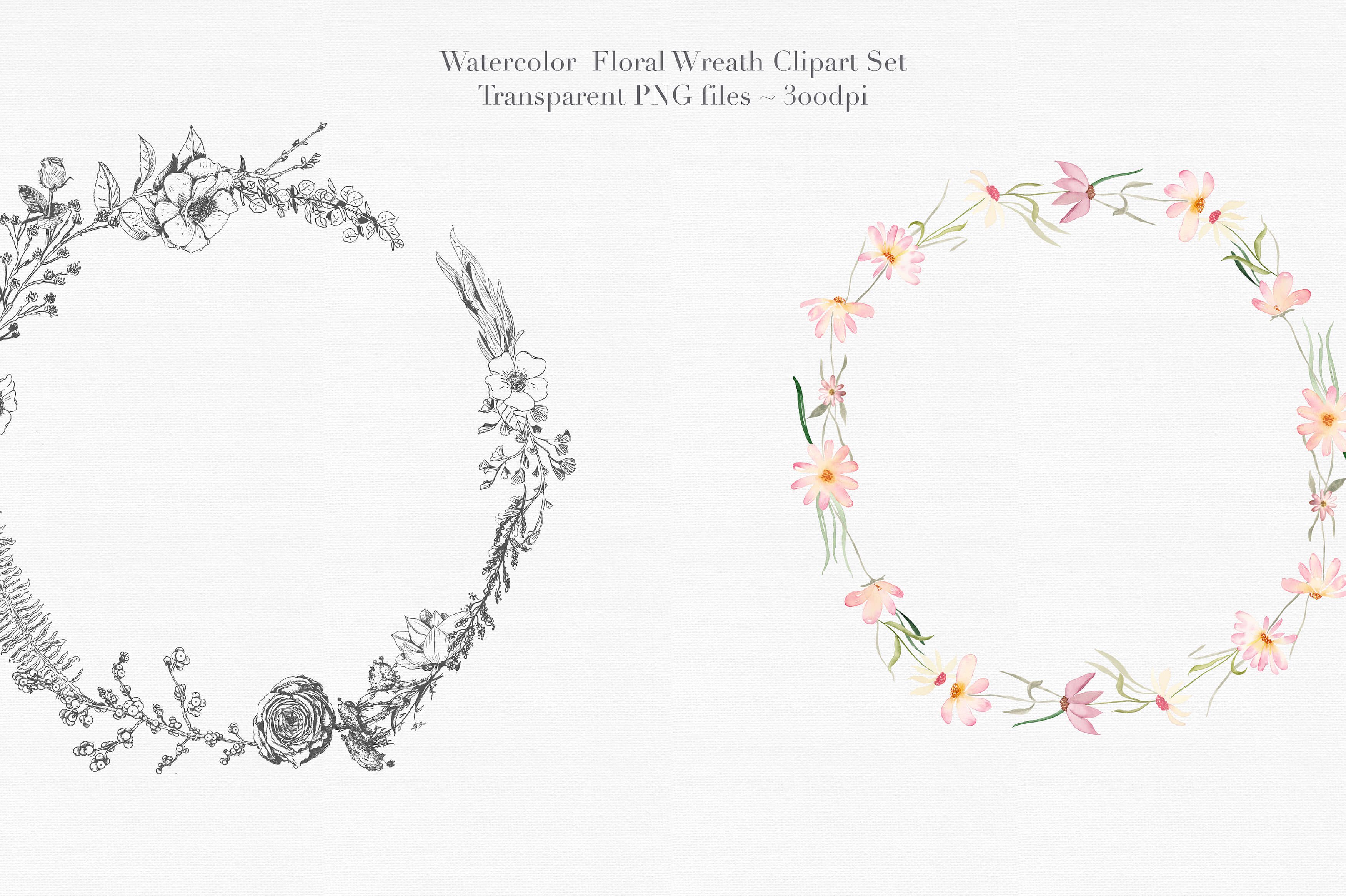 独特的手绘花卉花环剪贴画合集 Vol.3 Watercolor Floral Wreaths Vol.3插图(3)