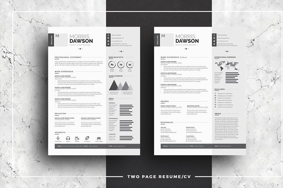 高端创意信息图表简历模板 Clean Infographic Resume/CV插图2