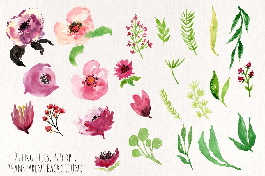 手绘水彩花卉植物图形元素 Vine Flowers插图3