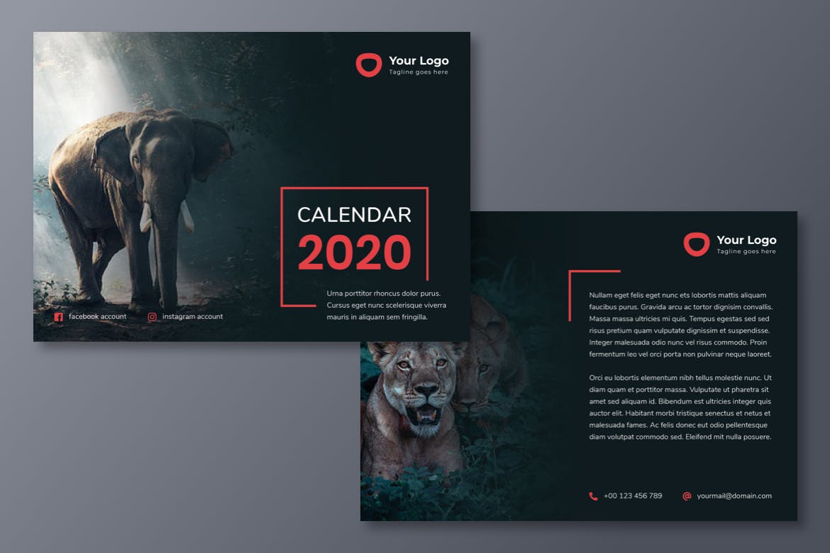 动物摄影主题2020款活页日历设计模板 Calendar 2020插图2