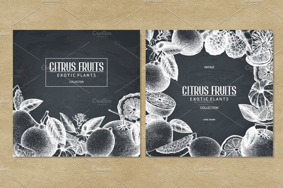 柑桔和植物矢量插画 Vector Citrus Fruits & Plants Set插图(5)