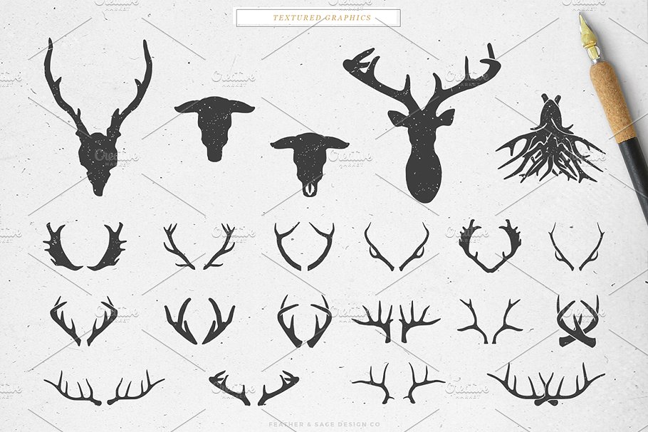 鹿角＆公牛手绘矢量插图 Antlers & a Bull Vector Graphics插图(4)