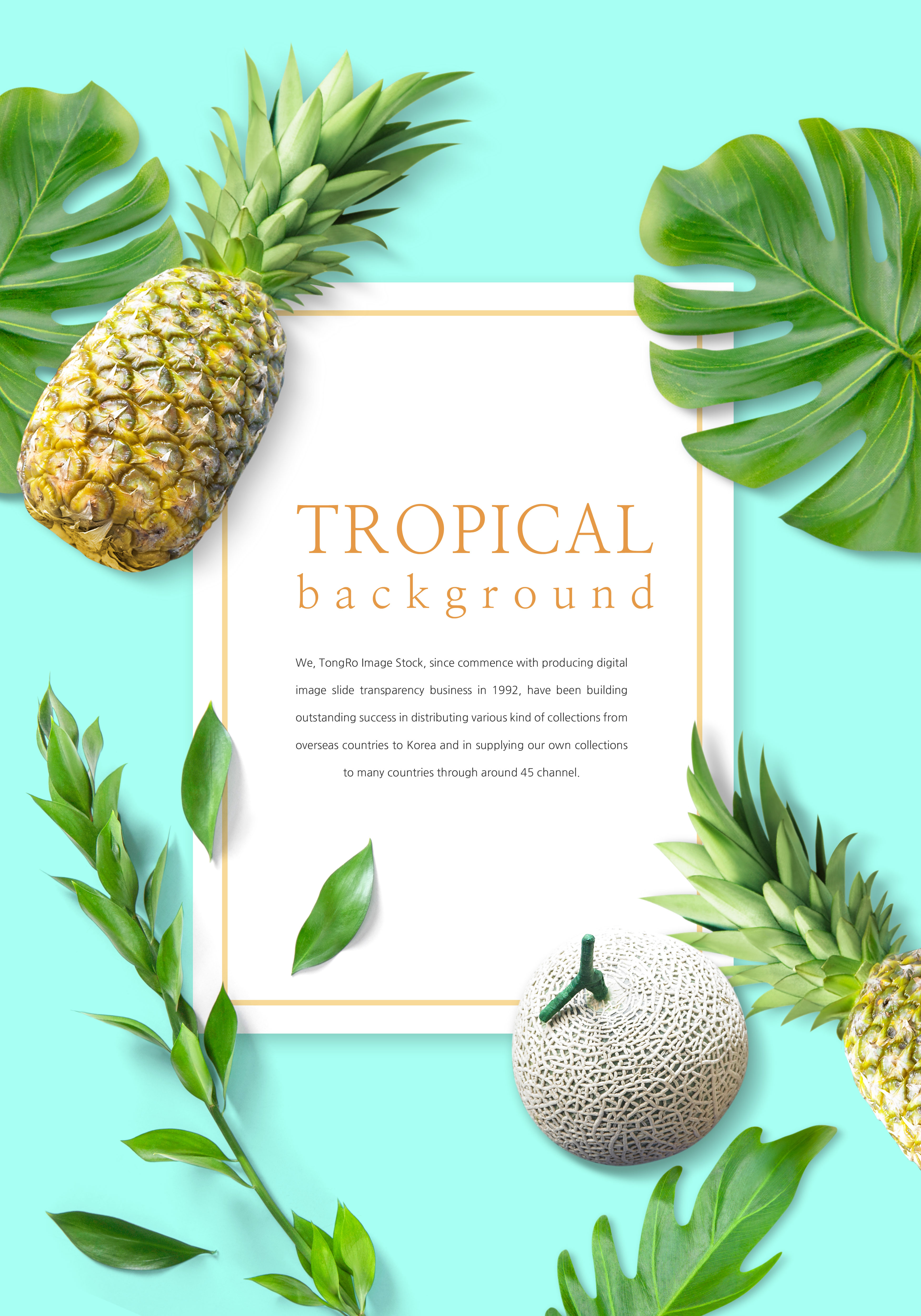 充满活力的热带水果背景图片设计素材插图