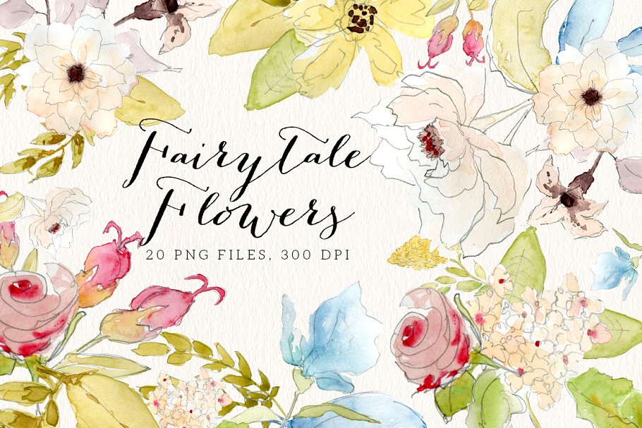 童话故事之花世界：手绘花卉元素 Fairytale Flowers插图