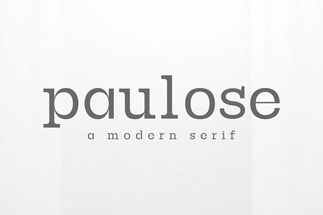 现代时尚优雅圆形衬线字体家族 Paulose Modern Serif Font Family插图(6)