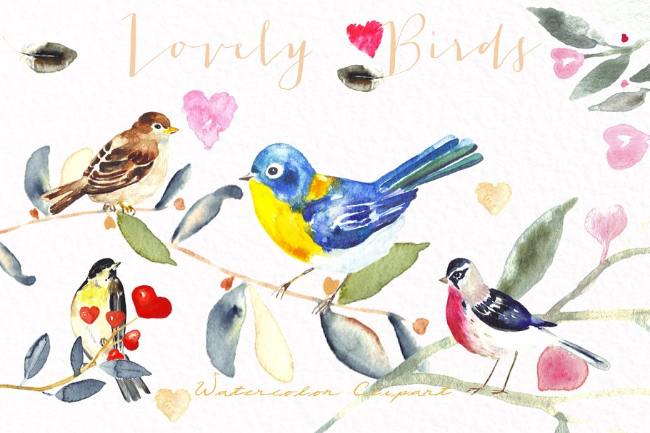 可爱彩色小鸟水彩剪贴画 Lovely birds.Watercolor clipart插图