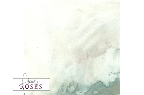 霜白玫瑰花水彩画设计素材 Frosty Roses Watercolor Flowers Set插图(26)