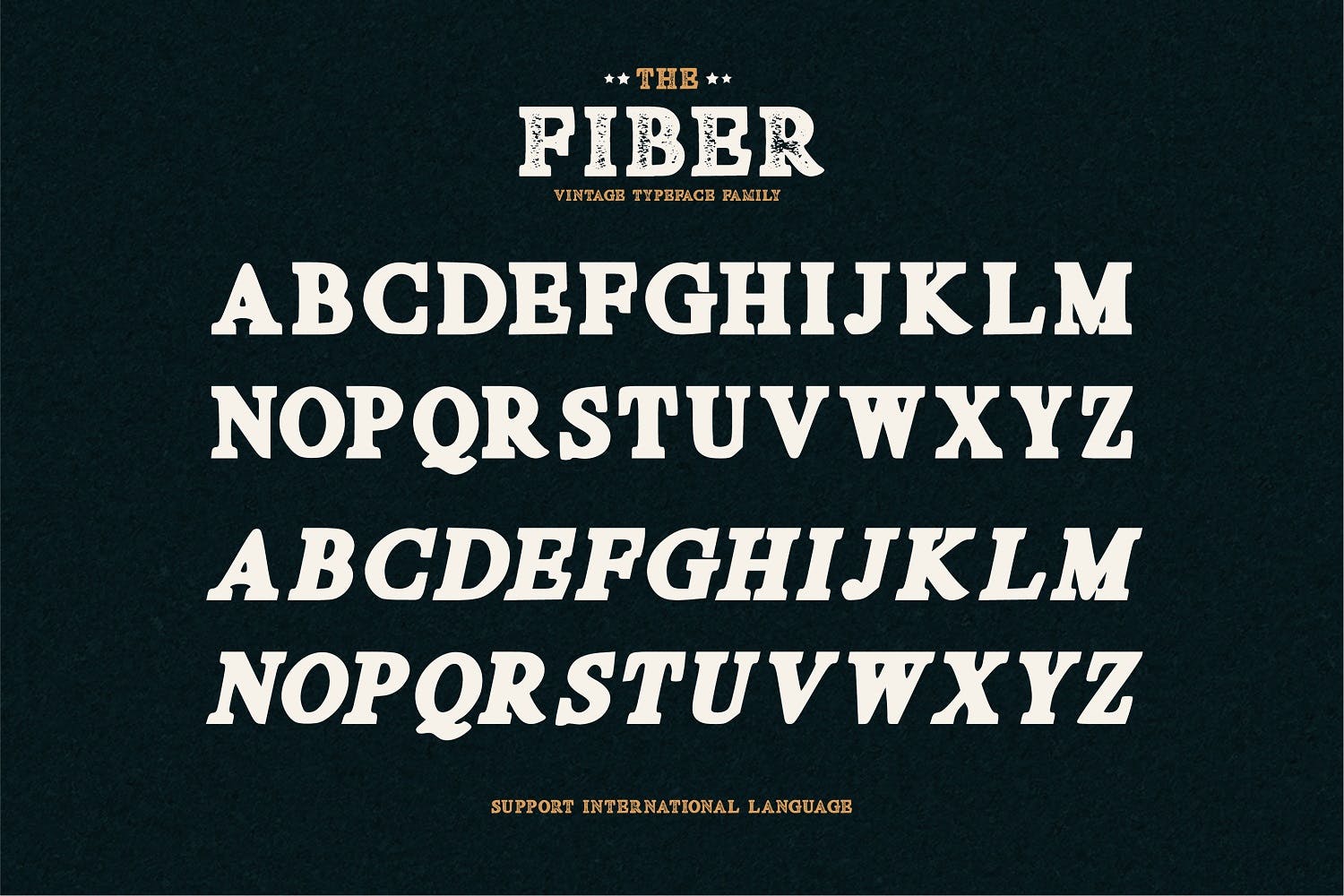 复古装饰风格英文无衬线设计字体下载 Fiber – Vintage Serif Font插图(5)