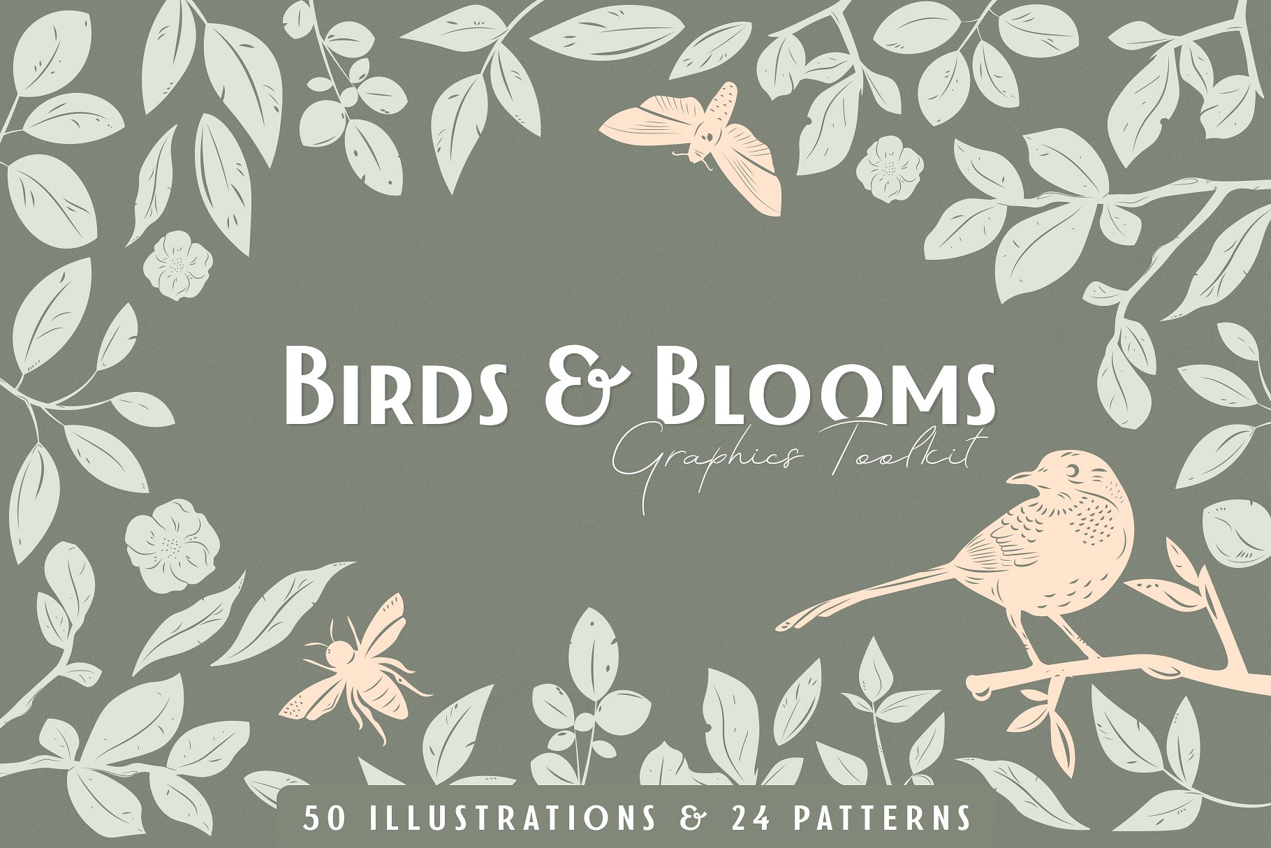 鸟类和花朵矢量图形套装 Birds & Blooms Graphics Kit插图
