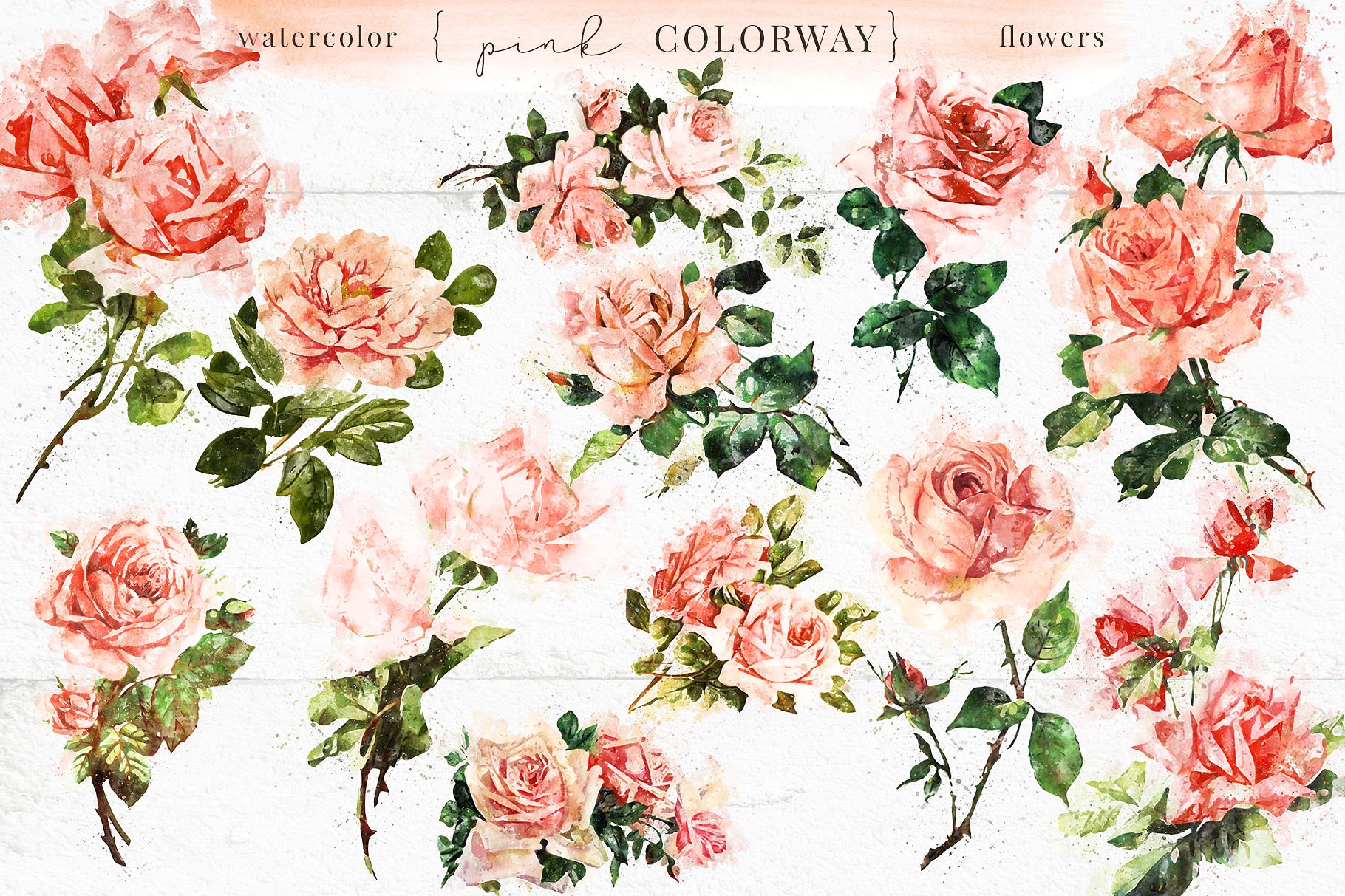 古典风格玫瑰/树叶/装饰字母/花环和花束剪贴画合集 Farmhouse Watercolor Flowers插图10