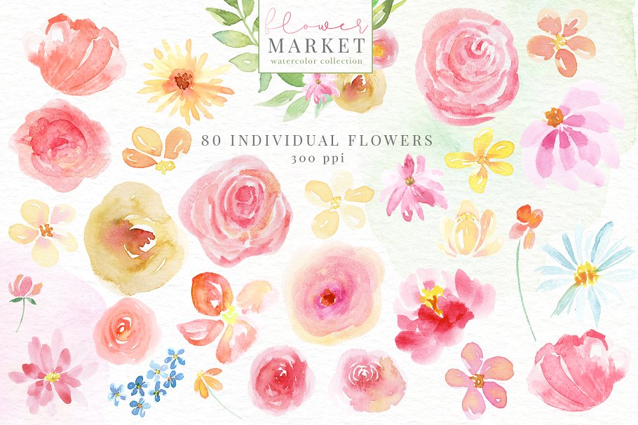 花卉市场水彩素材收藏[1.15GB] Flower Market Watercolor Collection插图(11)