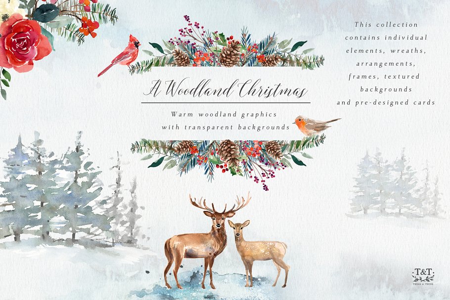 圣诞主题设计素材包（独立对象、背景、花卉等） Christmas Graphics – Woodland插图