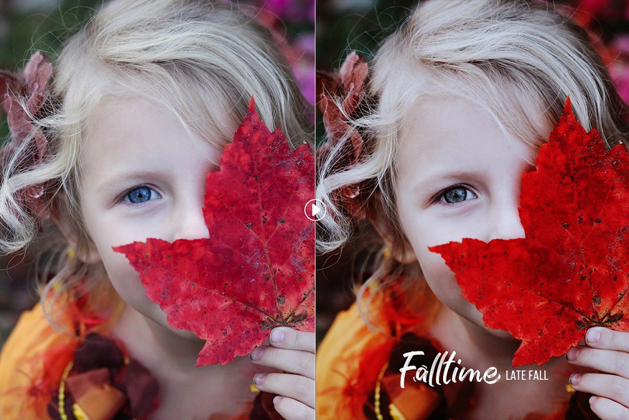 秋天的气息照片特效处理PS动作 Falltime – Autumn Photoshop Actions插图(2)