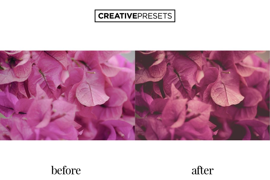 照片后期处理柔和色调LR调色预设 Pastel Tones Lightroom Presets插图(4)