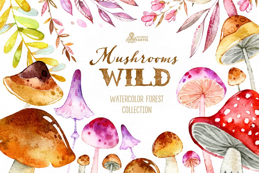 野生蘑菇森林元素素材集 Wild Mushrooms. Forest Collection插图
