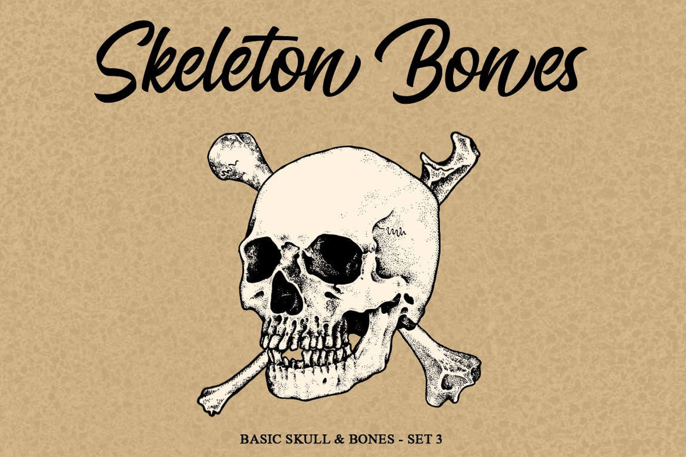 骨骼头骨骷髅矢量手绘插画v3 Skeleton bones set 3插图