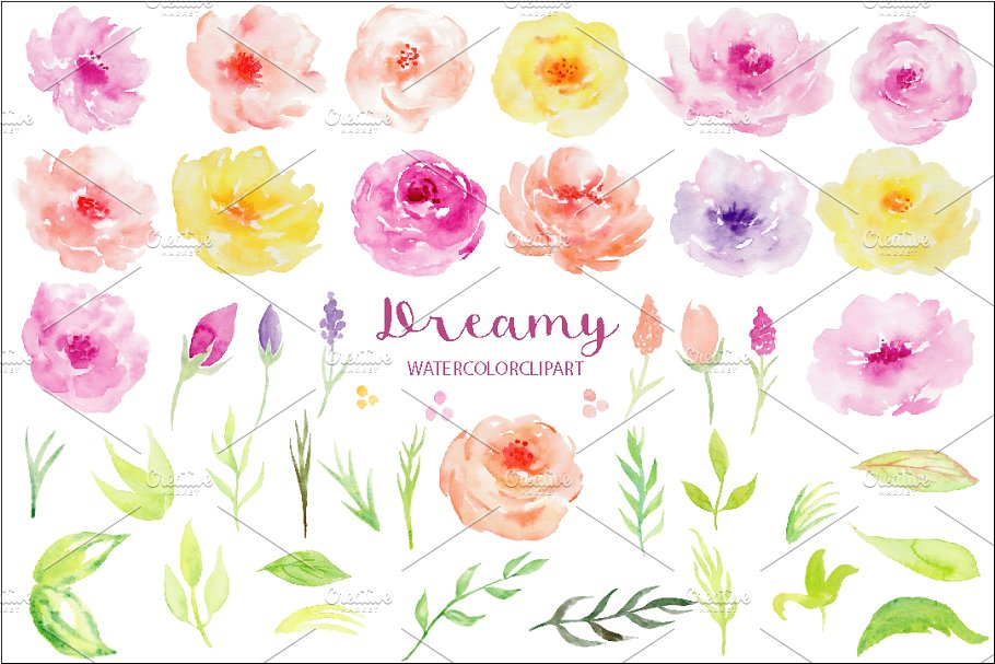 淡雅水彩花卉剪贴画合集 Watercolor Dreamy Collection插图(2)