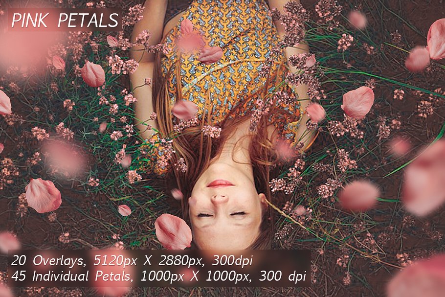 5K高清分辨率花瓣叠层覆盖层素材 5K Petals Overlays插图2