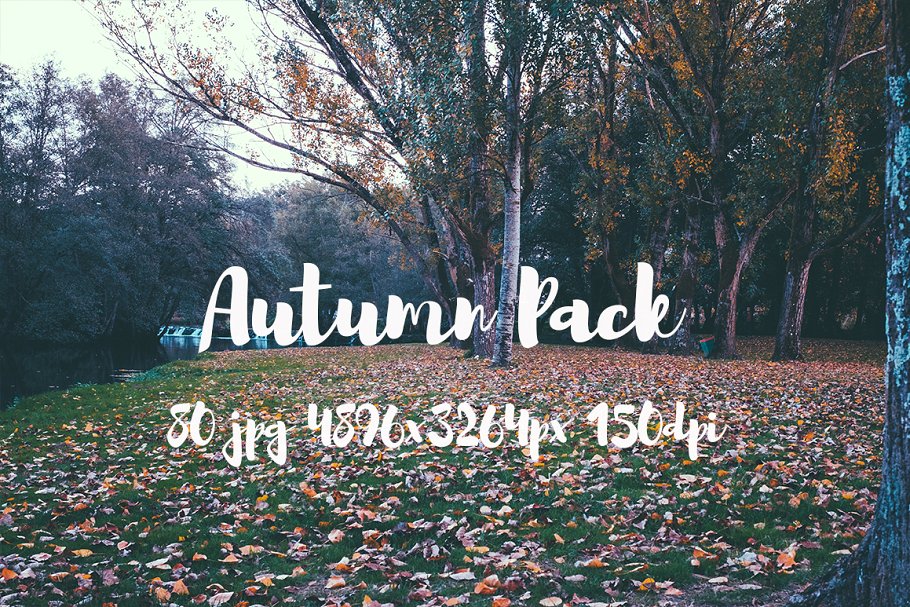 秋天主题高清风景照片素材 Autumn photo Pack插图(3)