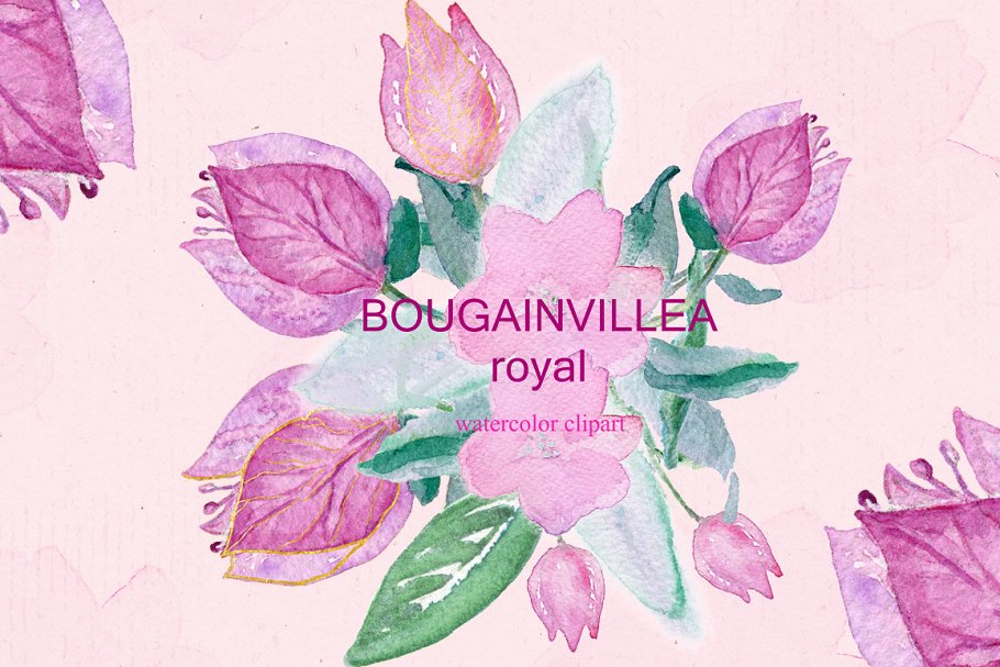 叶子红属&倒挂金钟属花卉水彩剪贴画 Bougainvillea & fuchsia watercolor插图(5)