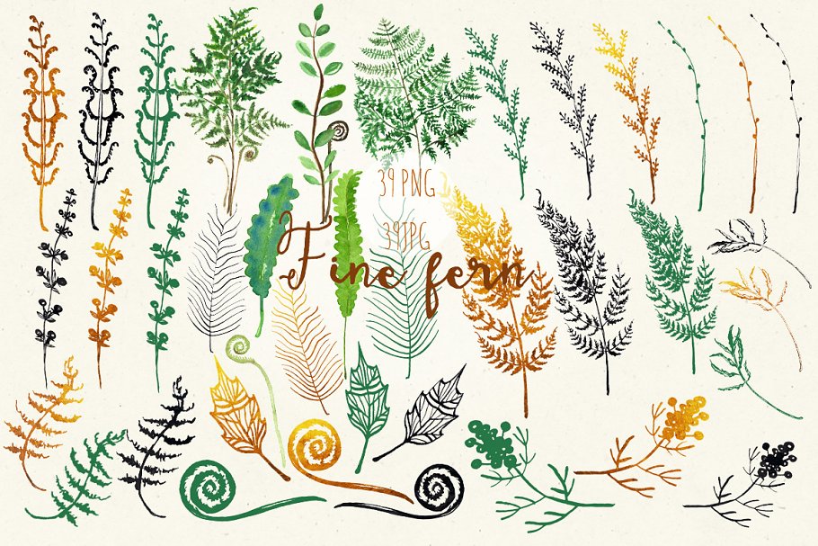 精美蕨类水彩水墨剪贴画合集 Fine ferns. watercolor clipart插图(1)
