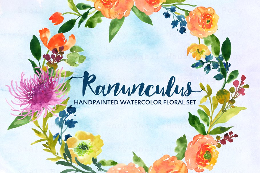 水彩手绘毛茛植物剪贴画 Ranunculus- Watercolor Clip Art插图3