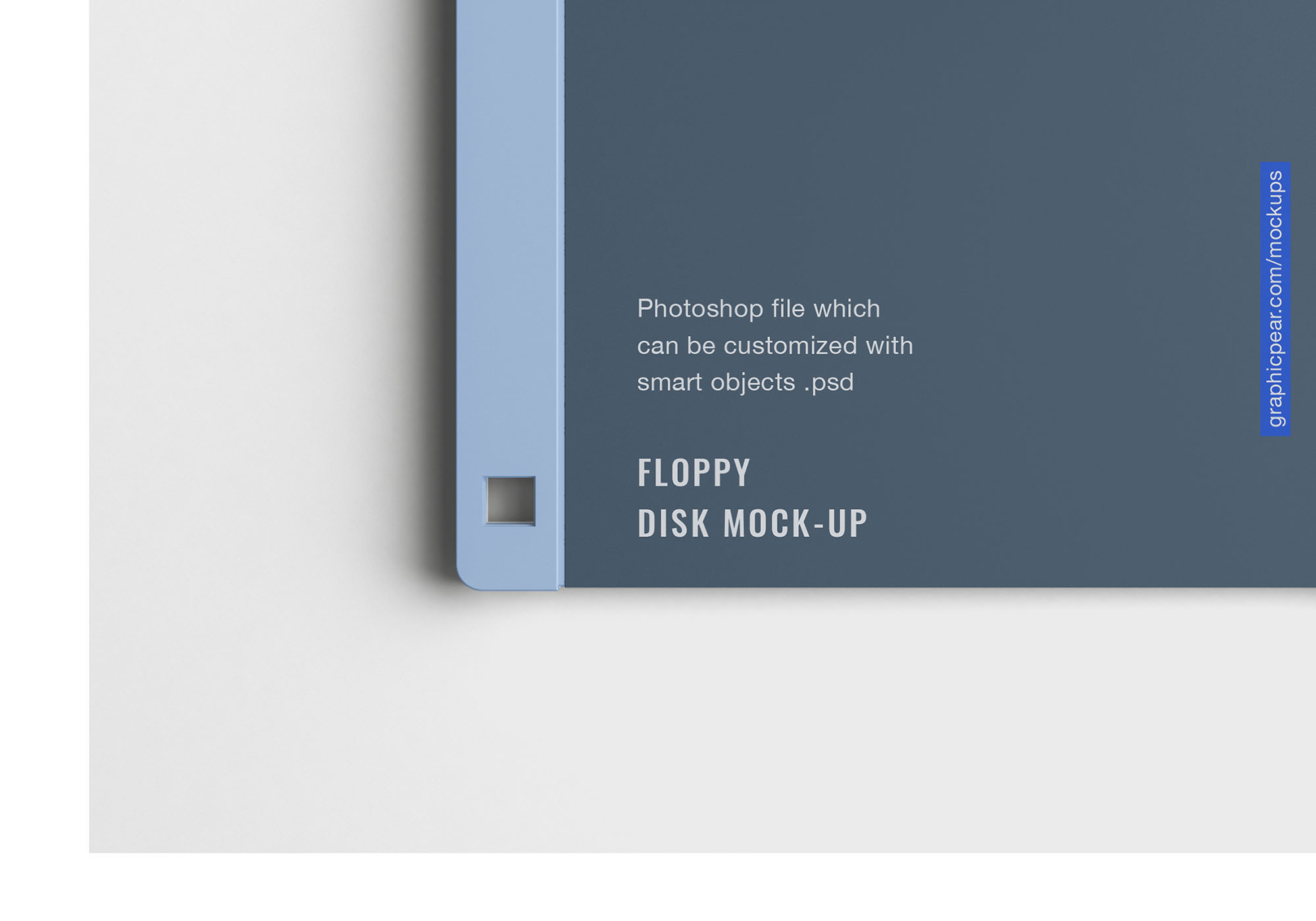 古董软盘外观设计样机模板 Floppy Disk Mockup插图(3)