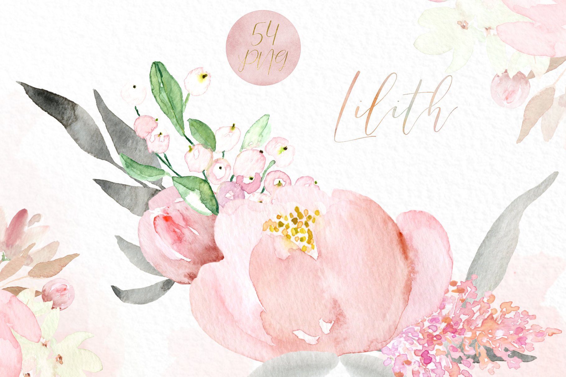 粉色水彩花卉剪贴画 Lilith. Pink watercolour flowers插图(4)