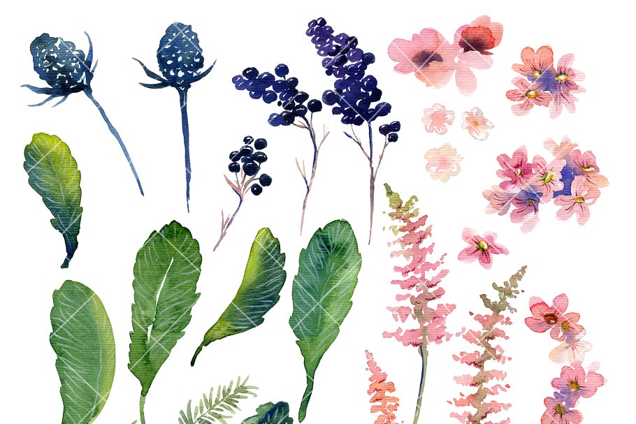 浪漫手绘乡村花卉浆果元素剪贴画 Watercolor floral set插图1