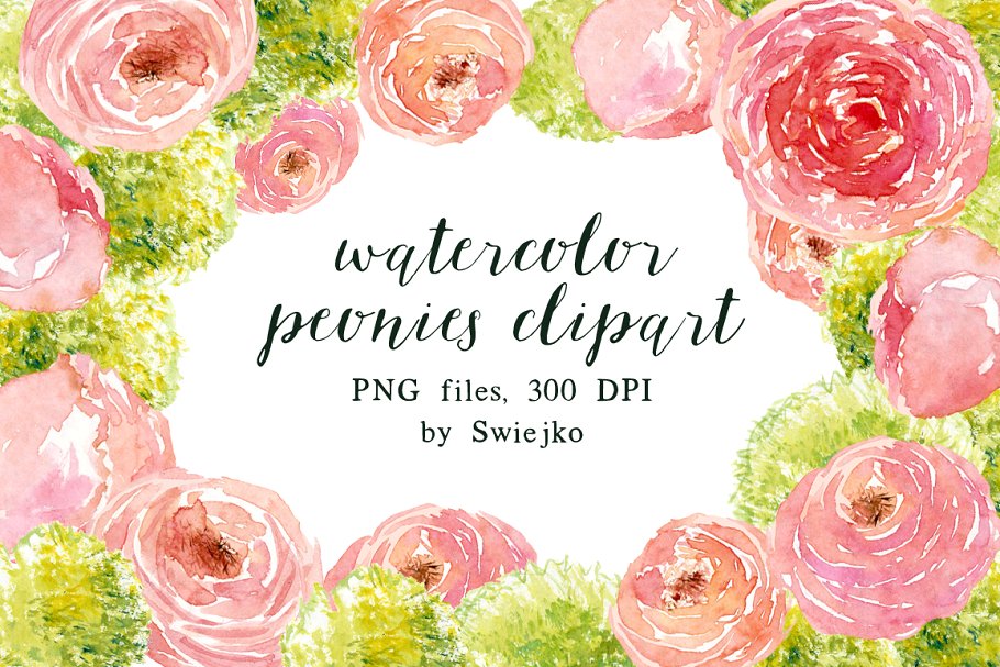 牡丹花水彩剪贴画 Peonies clipart set插图