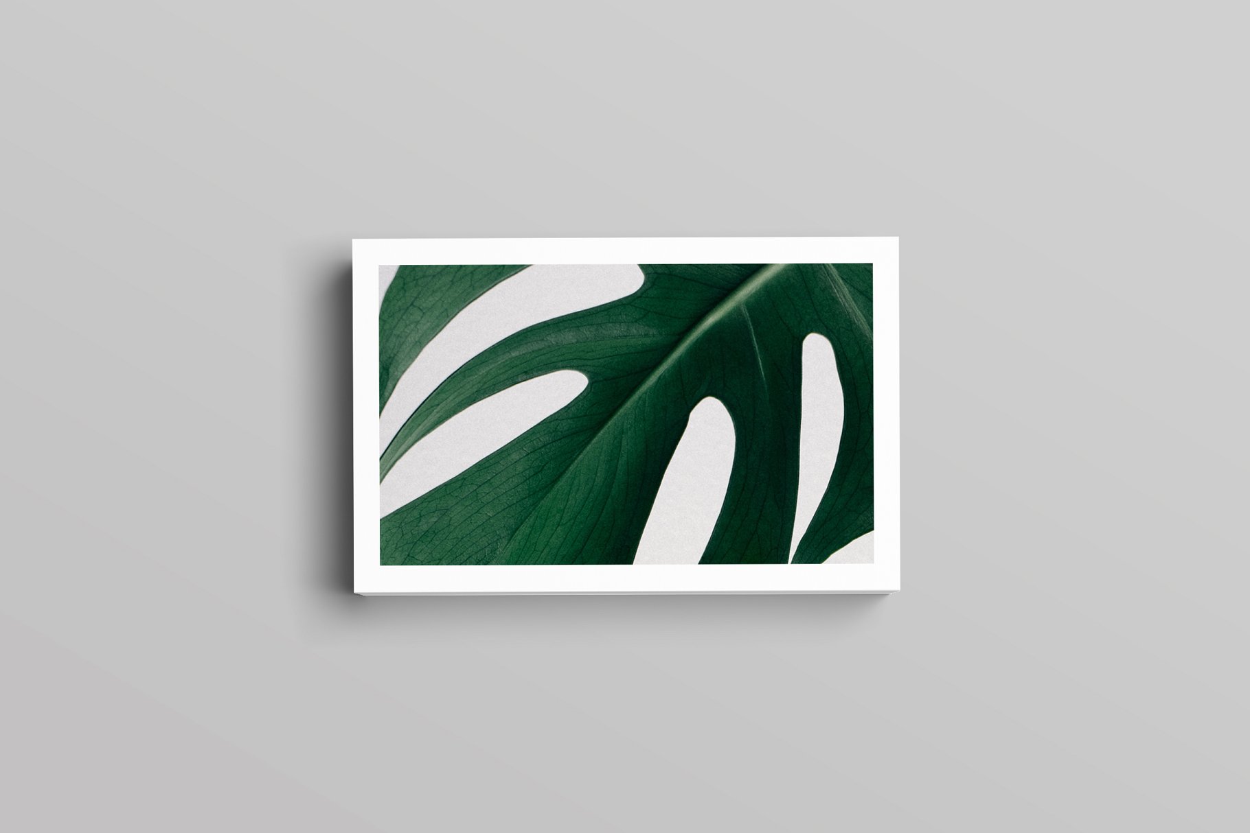 优雅简约风高端企业名片设计模板 Aaron Business Card Template插图2