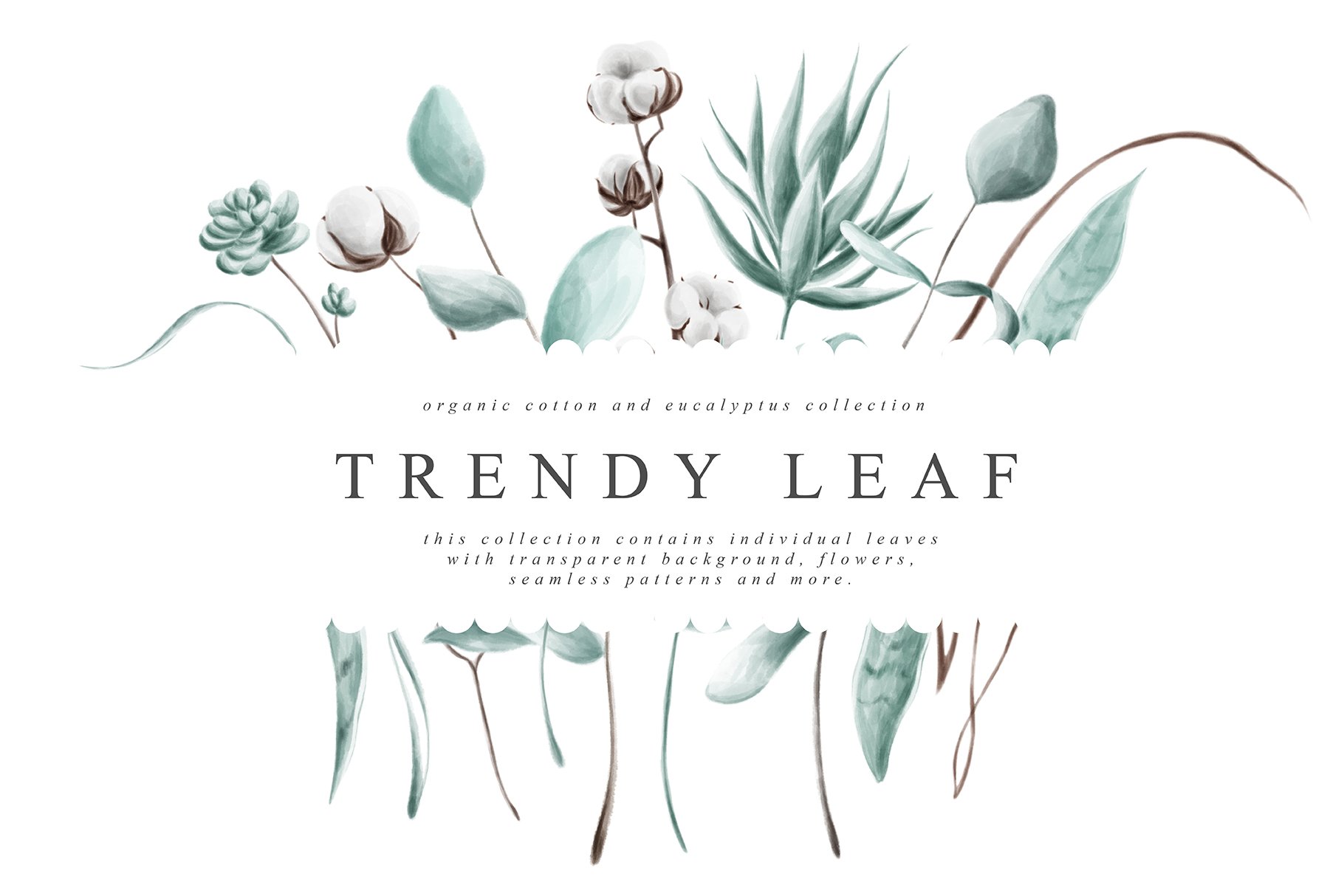 trendy-leaf-first-image-