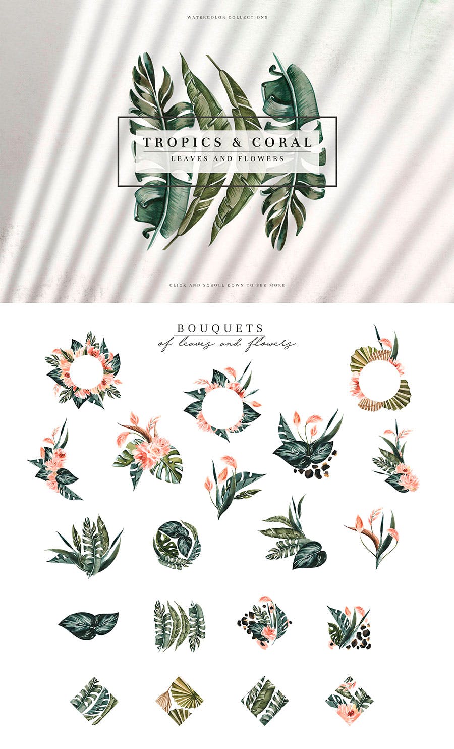 热带植物水彩手绘图案设计素材套装 Tropics & Coral Watercolor Set插图7