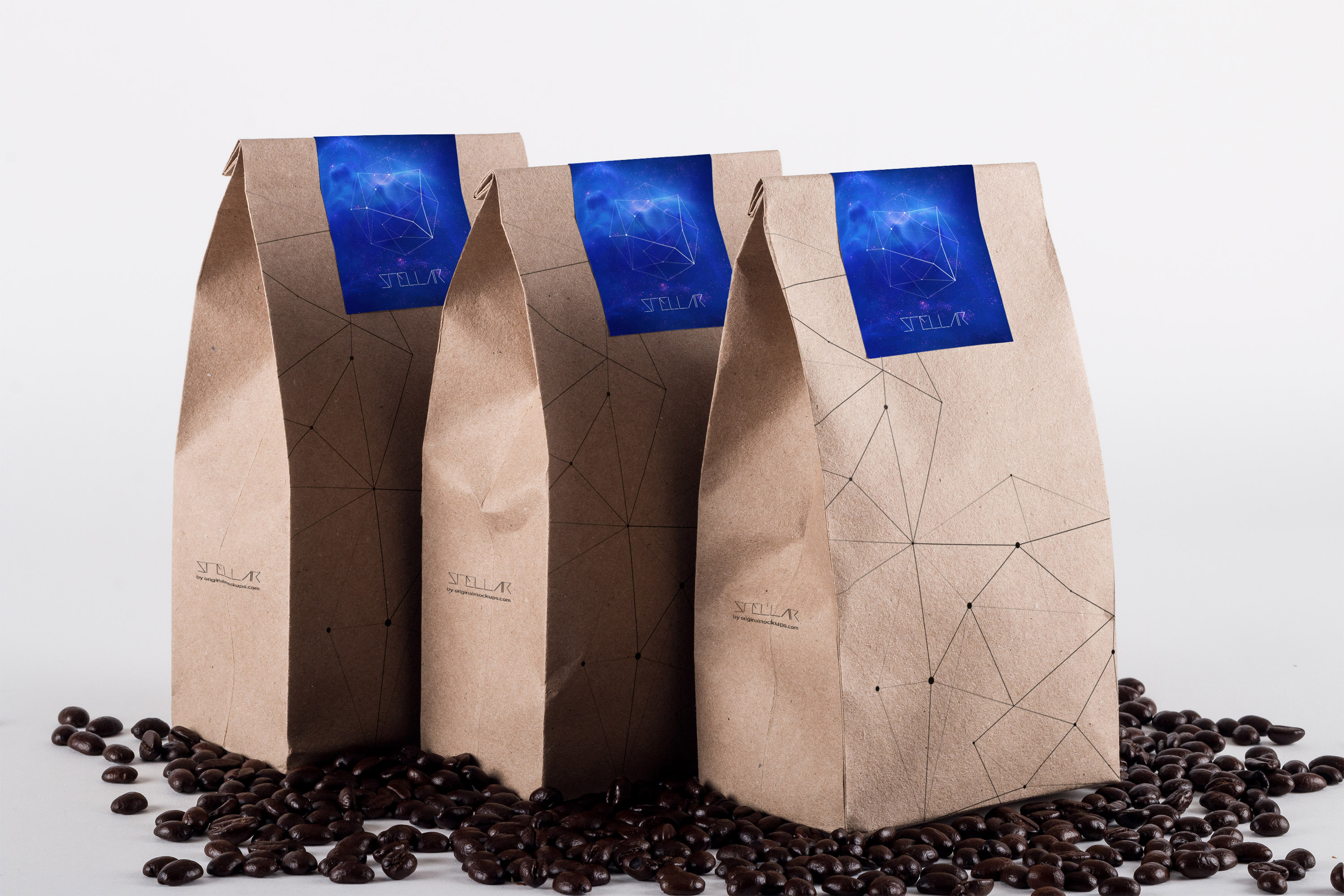 咖啡豆包装袋设计样机模板01 Coffee Bag Mockup 01插图