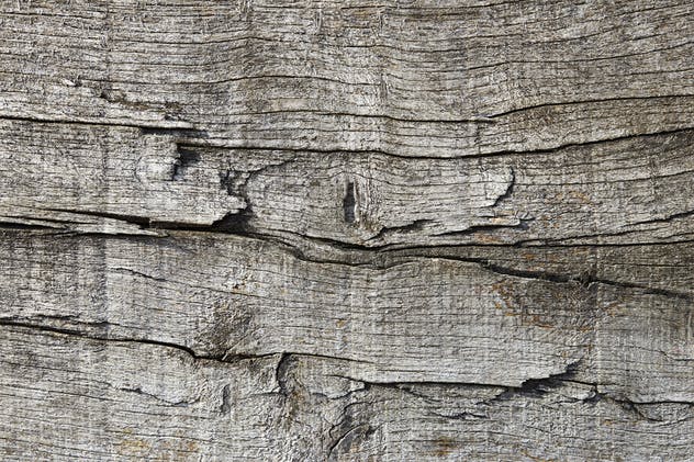 逼真的残旧粗糙木纹理背景素材 Wood texture-Background插图8