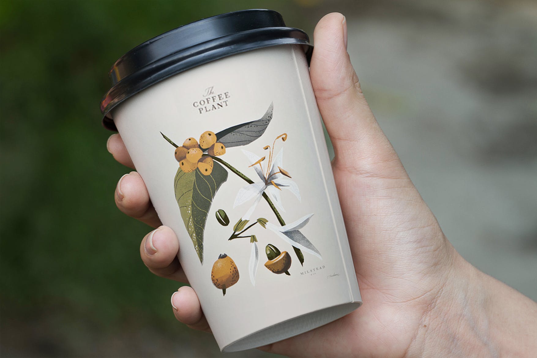 咖啡纸杯设计品牌Logo预览样机模板 Coffee Branding Mockup插图1