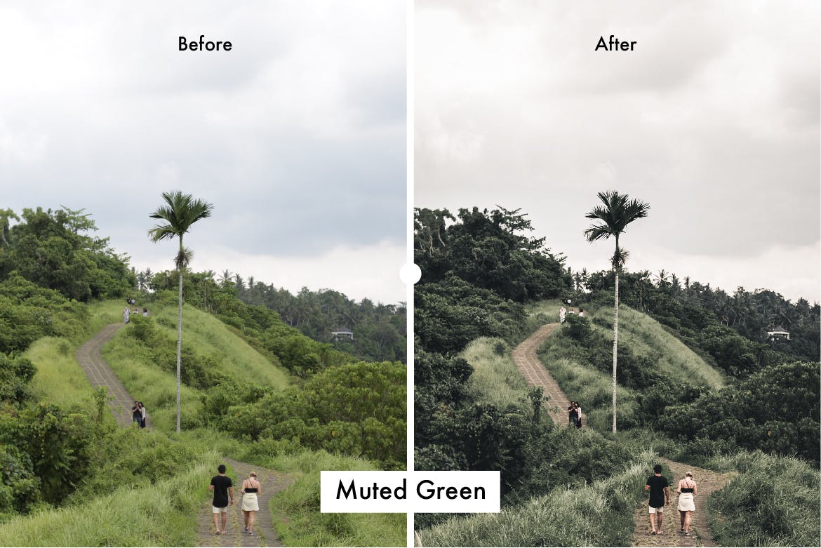 6个自然风景摄影后期处理调色滤镜LR预设 6 Nature Lightroom Preset插图(1)