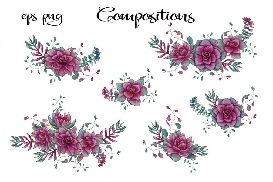 紫色的仙人掌和肉质植物矢量剪贴画插图2