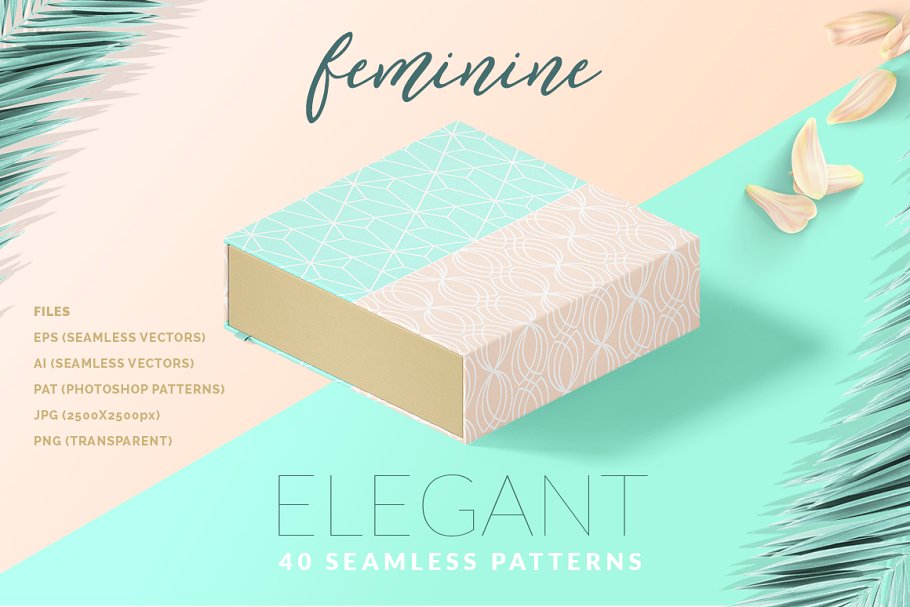 女性优雅线条图案纹理 Feminine Elegant Line Patterns插图