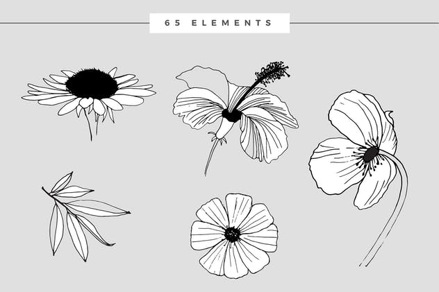 创意手绘花卉插画图案纹理素材 Graphic Flowers Patterns & Elements插图9