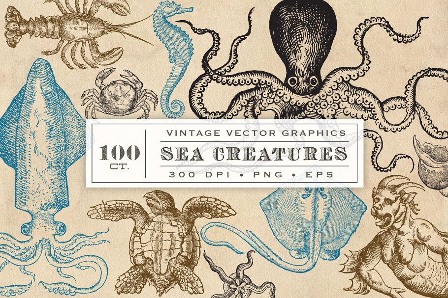 海洋生物旧书插画集 Antique Sea Creatures & Monsters插图