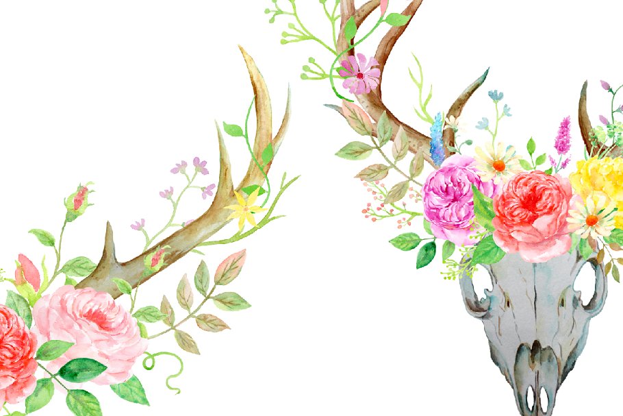 鹿与玫瑰水彩剪贴画 Watercolor Deer and Rose插图3