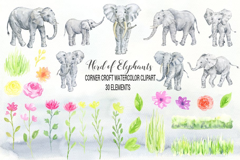 手绘灰白色大象插图 Watercolor Herd of Elephants插图1