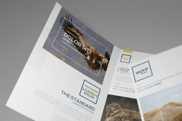 双折页A4规格企业品牌宣传册样机 Bi-Fold A4 Brochure Mockups插图(14)