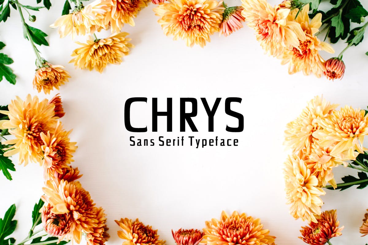 极简现代设计风格的无衬线字体套装 Chrys Sans Serif Font Family Pack插图